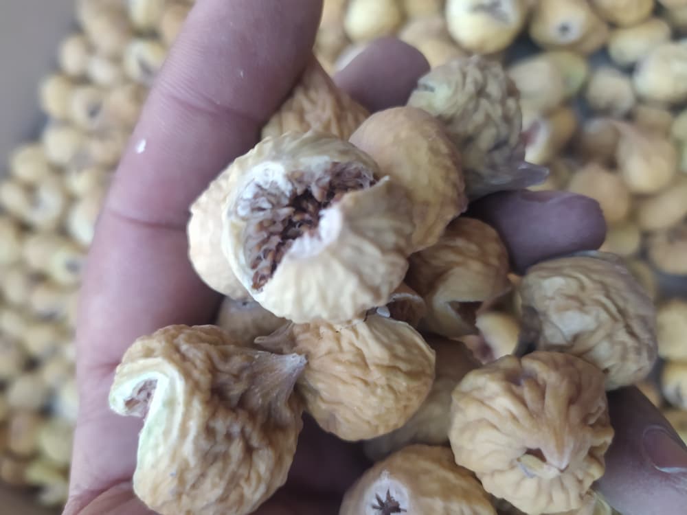 تصویر 1 از عرضه انجیر باکیفیت و مرغوب استهبان